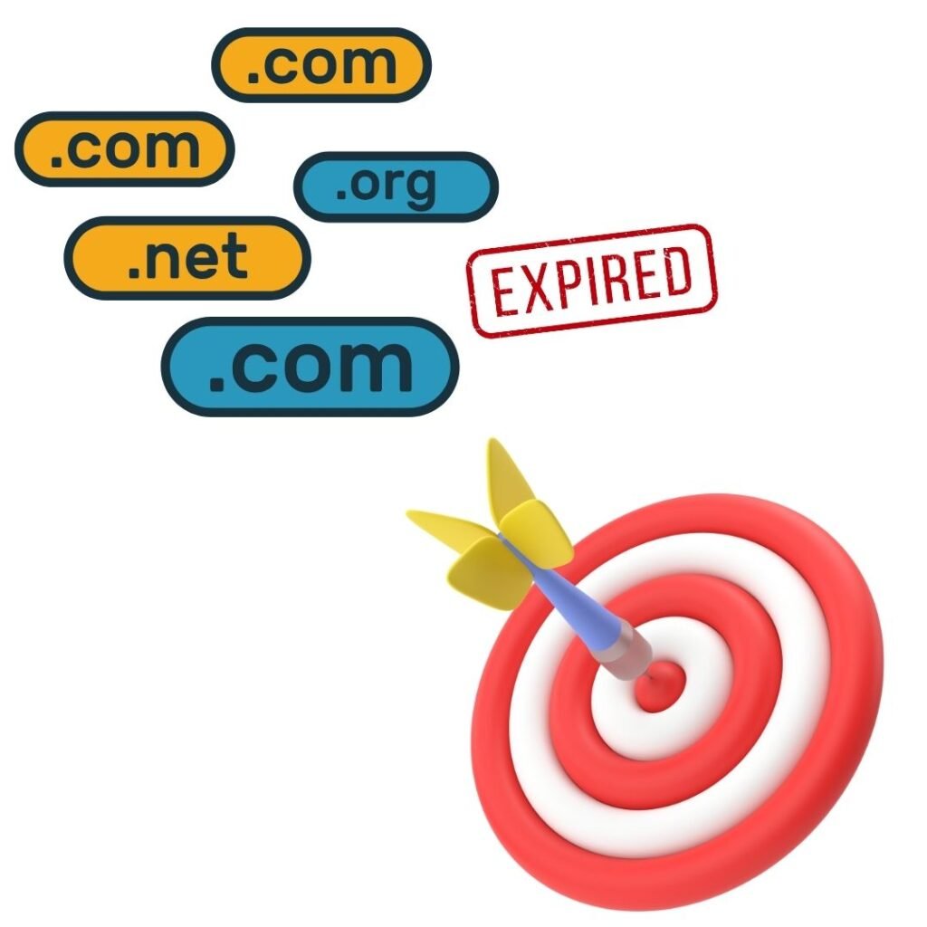 Find the Right Expired Domain in Your Niche