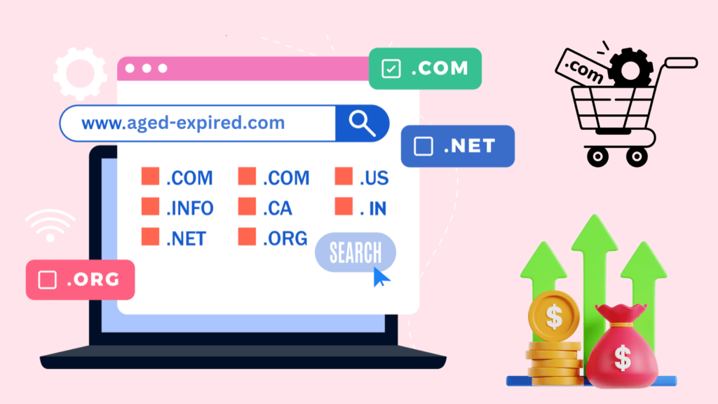 Top 5 Reasons to Invest In Aged and Expired Domains