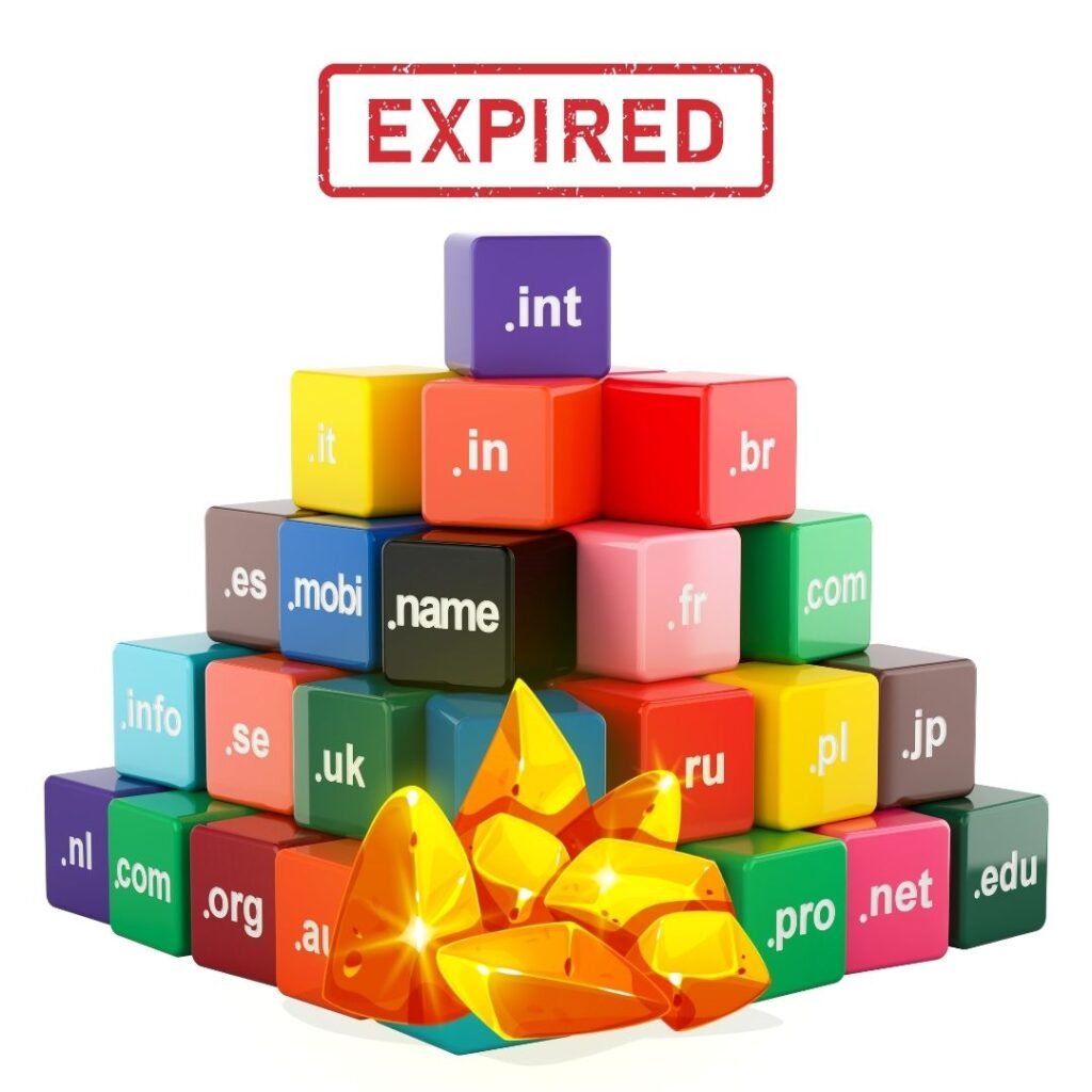 Why Expired Domains Are a Goldmine for Online Entrepreneurs